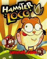 game pic for Hamster Loco MOTO